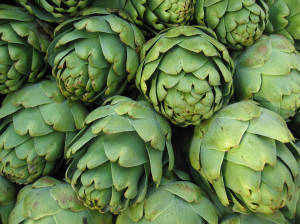 how to grow artichokes