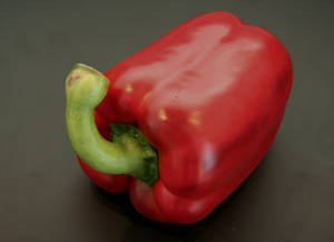 how to grow capsicums