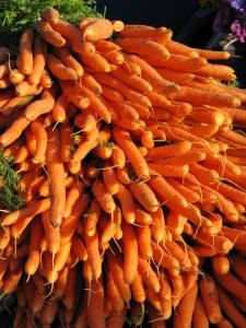 growing carrots