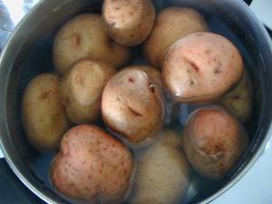 growing potatoes from eyes